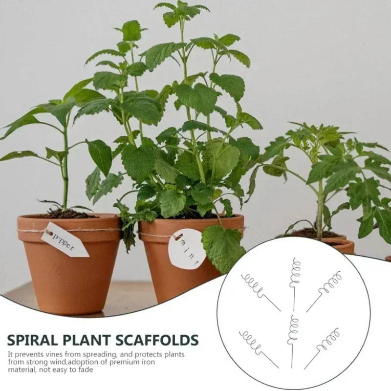 Bonsai Garden Plants - つる性植物サポートステークスタンド、つる性植物ラック、トマトスパイラルステーク、耐久性のある盆栽用金属スパイラルトマトステーク、ガーデン用