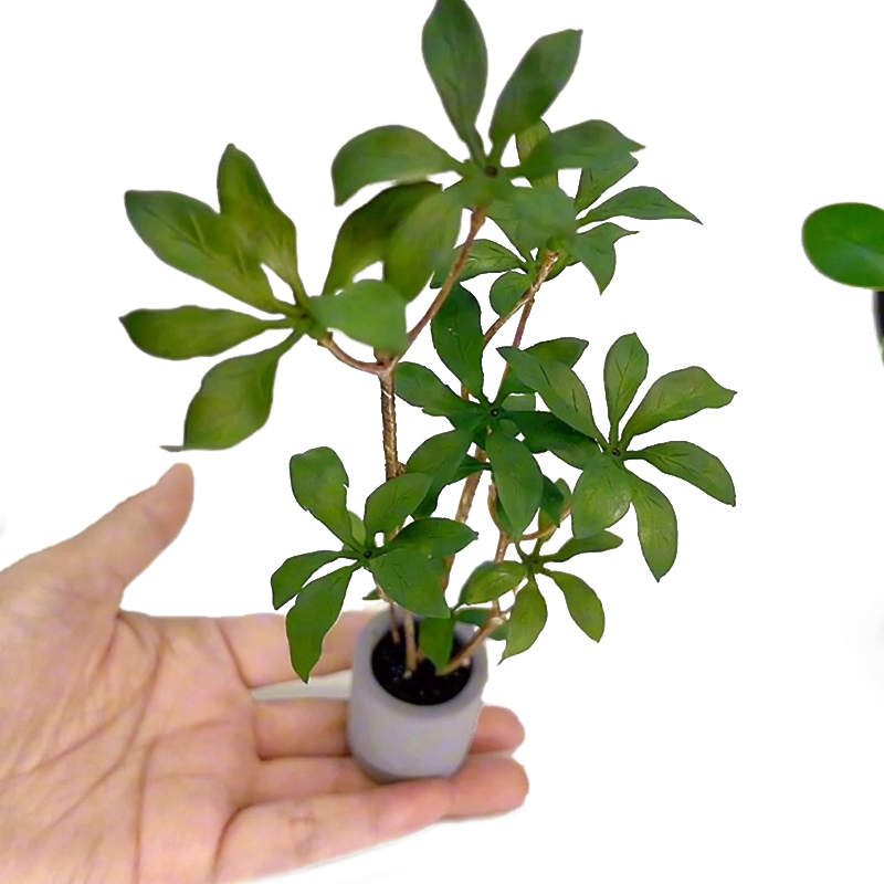 Bonsai Gardenia - ドールハウスミニチュア鉢植えモデル、緑の葉、植木鉢、盆栽、家の庭の装飾、おもちゃの人形、家のアクセサリー、1:6