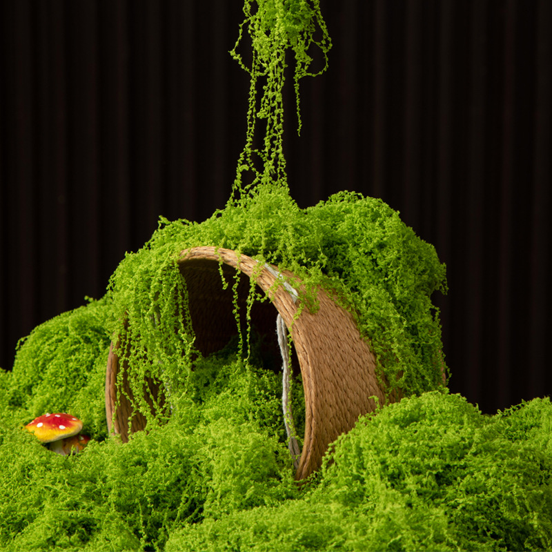 Bonsai Garden Mini - 200 グラム永遠の命苔 DIY 工芸品草人工緑植物ホームルーム庭の装飾ミニ風景フェイク草盆栽