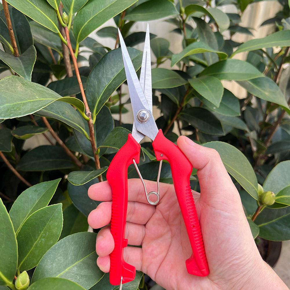 Bonsai Garden Plants - プロガーデン剪定鋏 延長型木花鋏 手動盆栽鋏 剪定鋏 スタンダードオレンジ