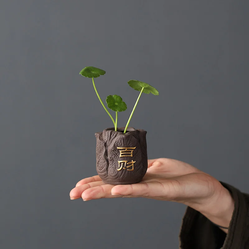 クリエイティブな紫色の粘土のお茶のペット,指紋のミニポット, - Bonsai Garden Mini のレビューと価格