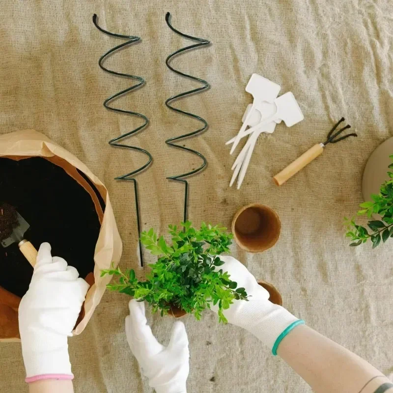 つる性植物サポートステークスタンド、つる性植物ラック、トマト - Bonsai Garden Plants のレビューと価格