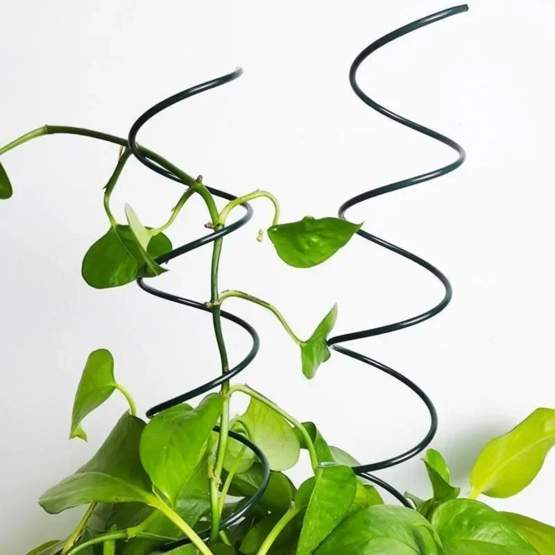 つる性植物サポートステークスタンド、つる性植物ラック、トマト - Bonsai Garden Plants のレビューと価格