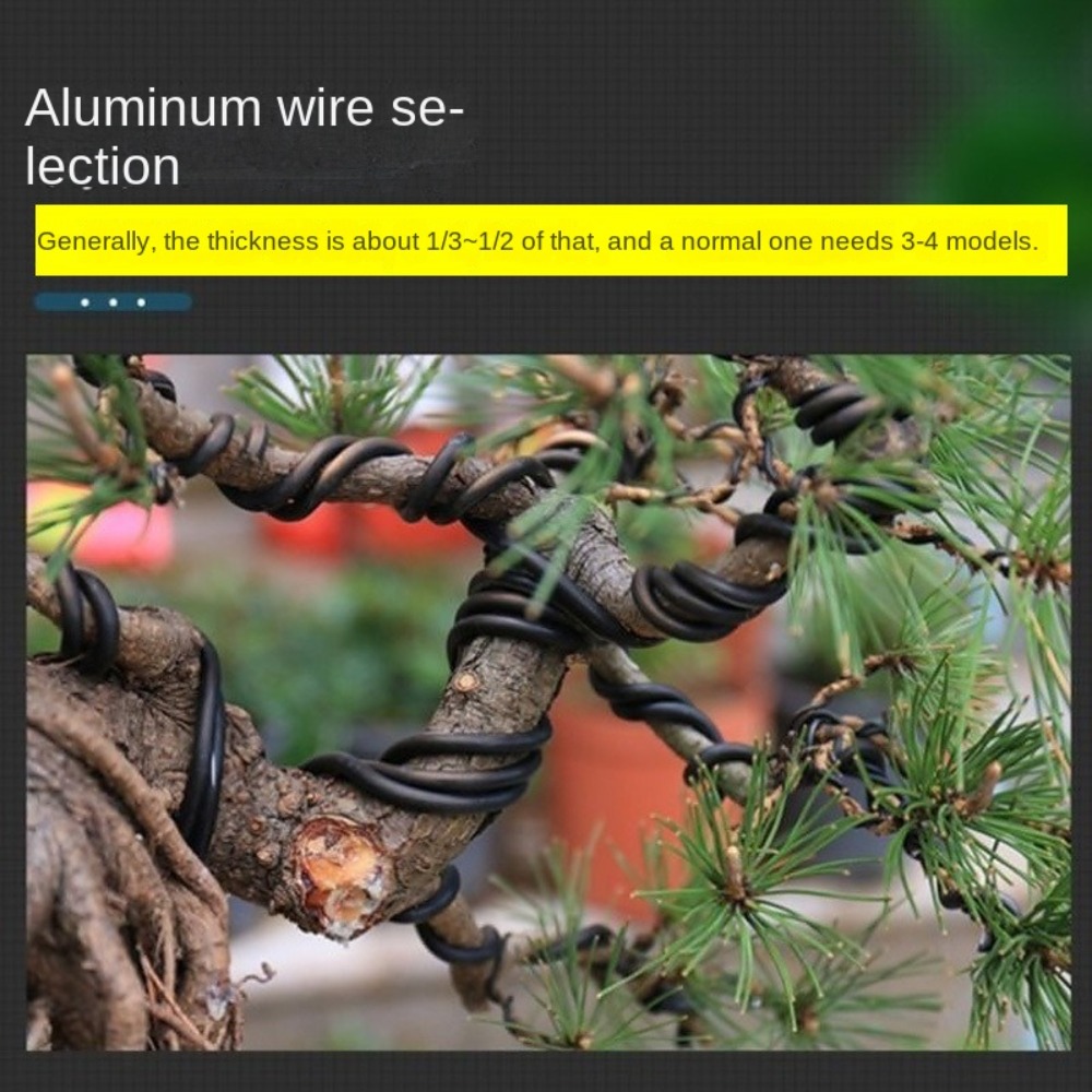 アルミ製盆栽ワイヤー ガーデン盆栽用型材 1//2//3// - Bonsai Wire Aluminum のレビューと価格