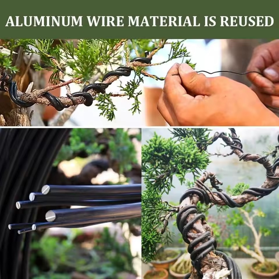 植物整形用園芸アクセサリー 1/1.5/2/2.5/3/3. - Bonsai Wire Aluminum のレビューと価格