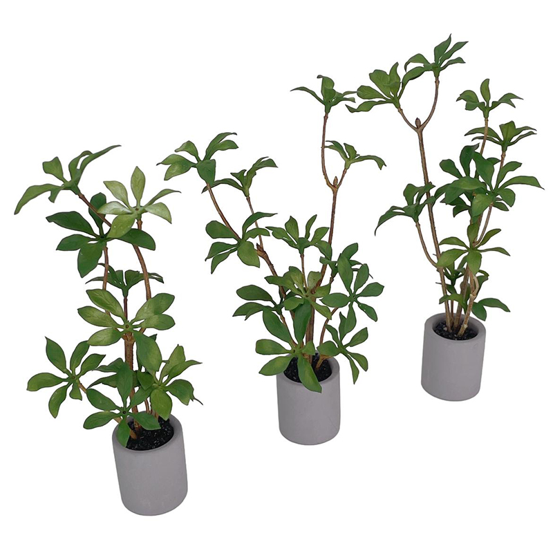 ドールハウスミニチュア鉢植え、緑の葉のポット、盆栽、家の庭の - Bonsai Gardenia のレビューと価格