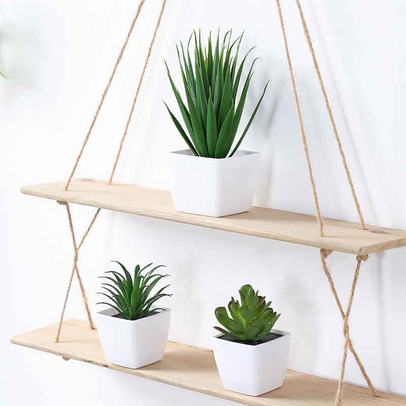 (3 個セット) 家、レストラン、テーブルトップ、窓辺、本棚 - Bonsai Garden Mini のレビューと価格