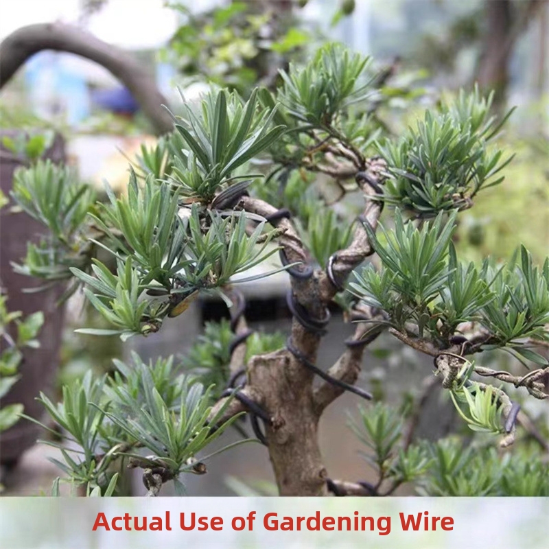 1.5MM盆栽ワイヤー アルミ盆栽トレーニングワイヤー モデ - Bonsai Garden Plants のレビューと価格