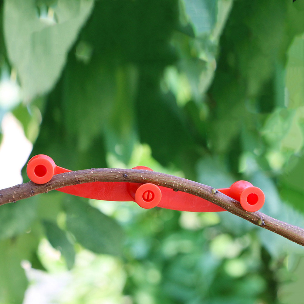 10個入りフレキシブルプラントベンダー、調整可能な360度回 - Bonsai Garden Plants のレビューと価格