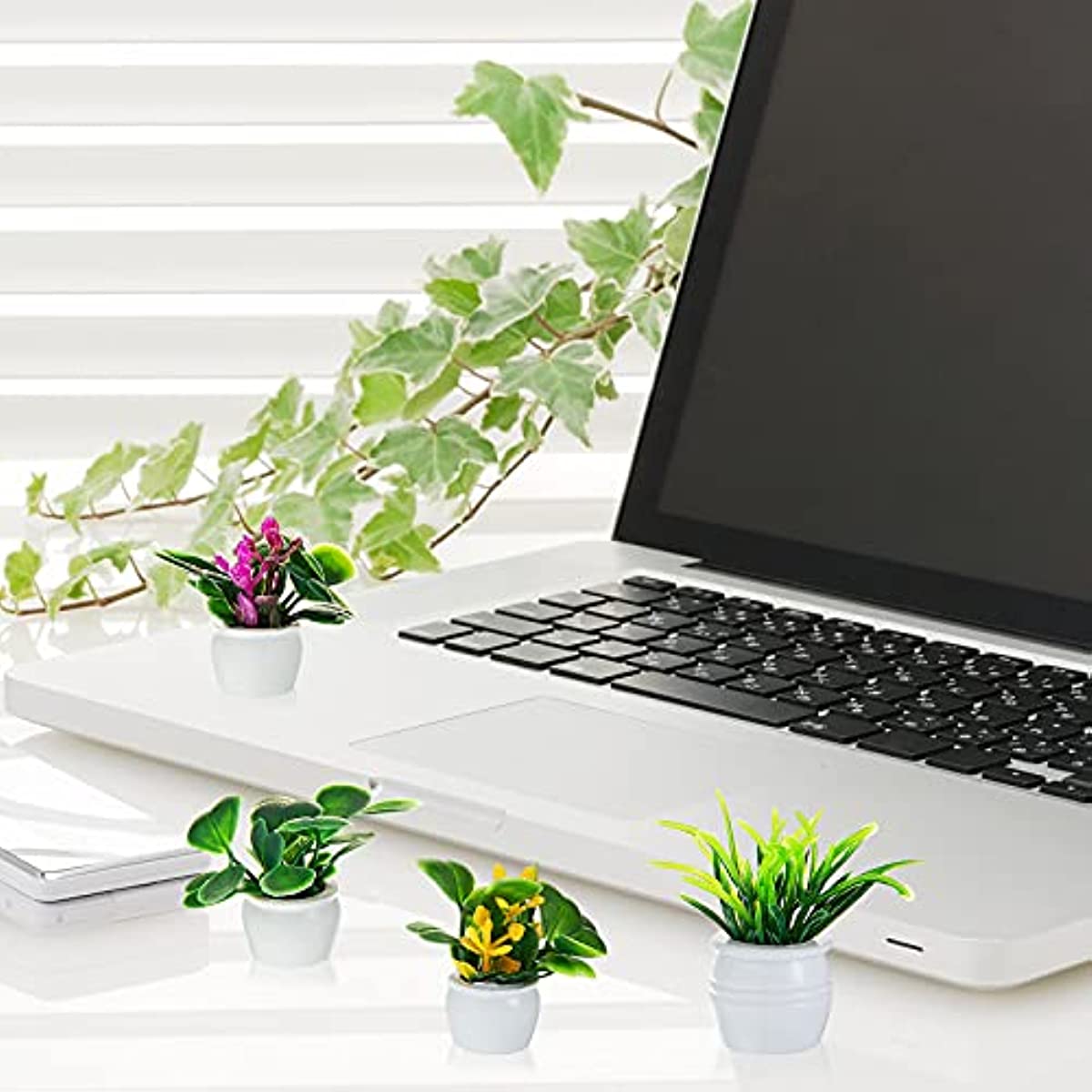 ドールハウス植物、ミニチュア盆栽、ミニ鉢植え、フラワーモデル - Bonsai Garden Mini のレビューと価格