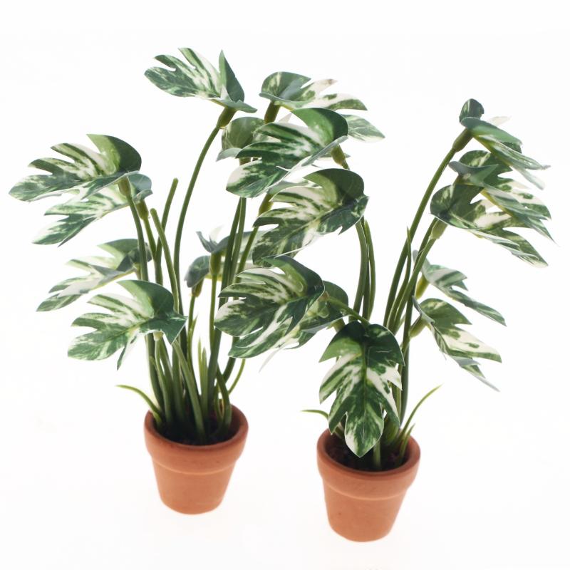新品。1個入り 1/12 ドールハウス シミュレーション モ - Bonsai Garden Plants のレビューと価格