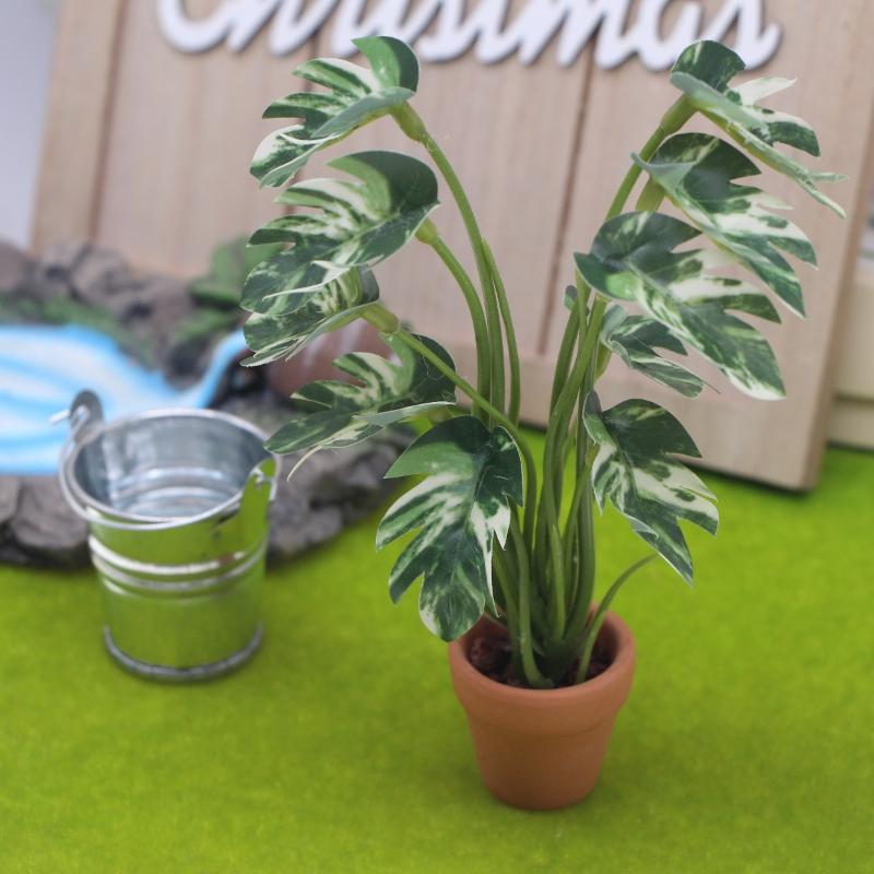 新品。1個入り 1/12 ドールハウス シミュレーション モ - Bonsai Garden Plants のレビューと価格