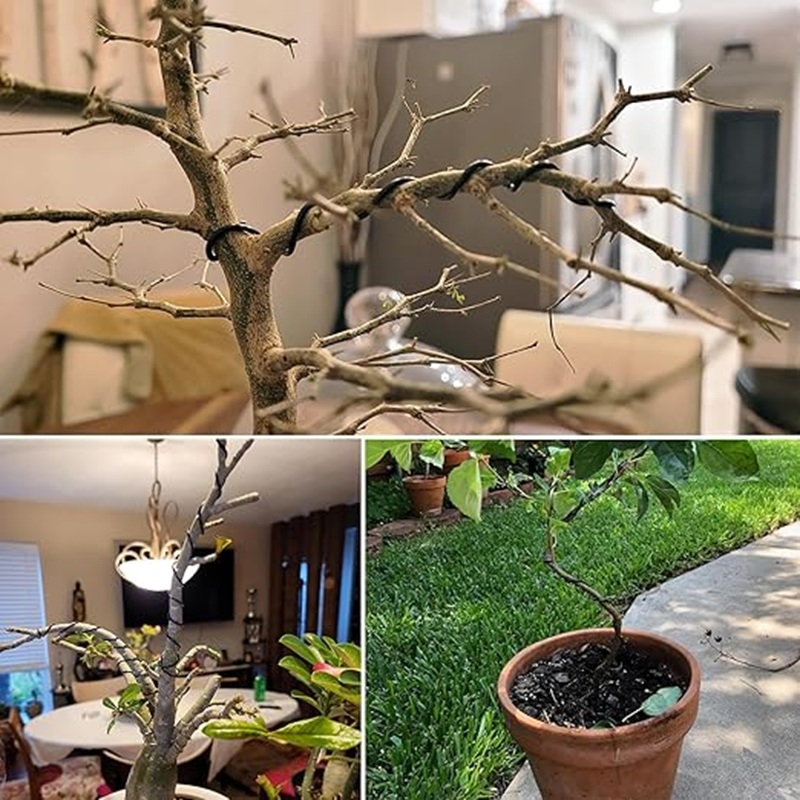 1mm黒色アルミ盆栽ワイヤー、30m柔軟な園芸ワイヤー、植物 - Bonsai Wire Aluminum のレビューと価格