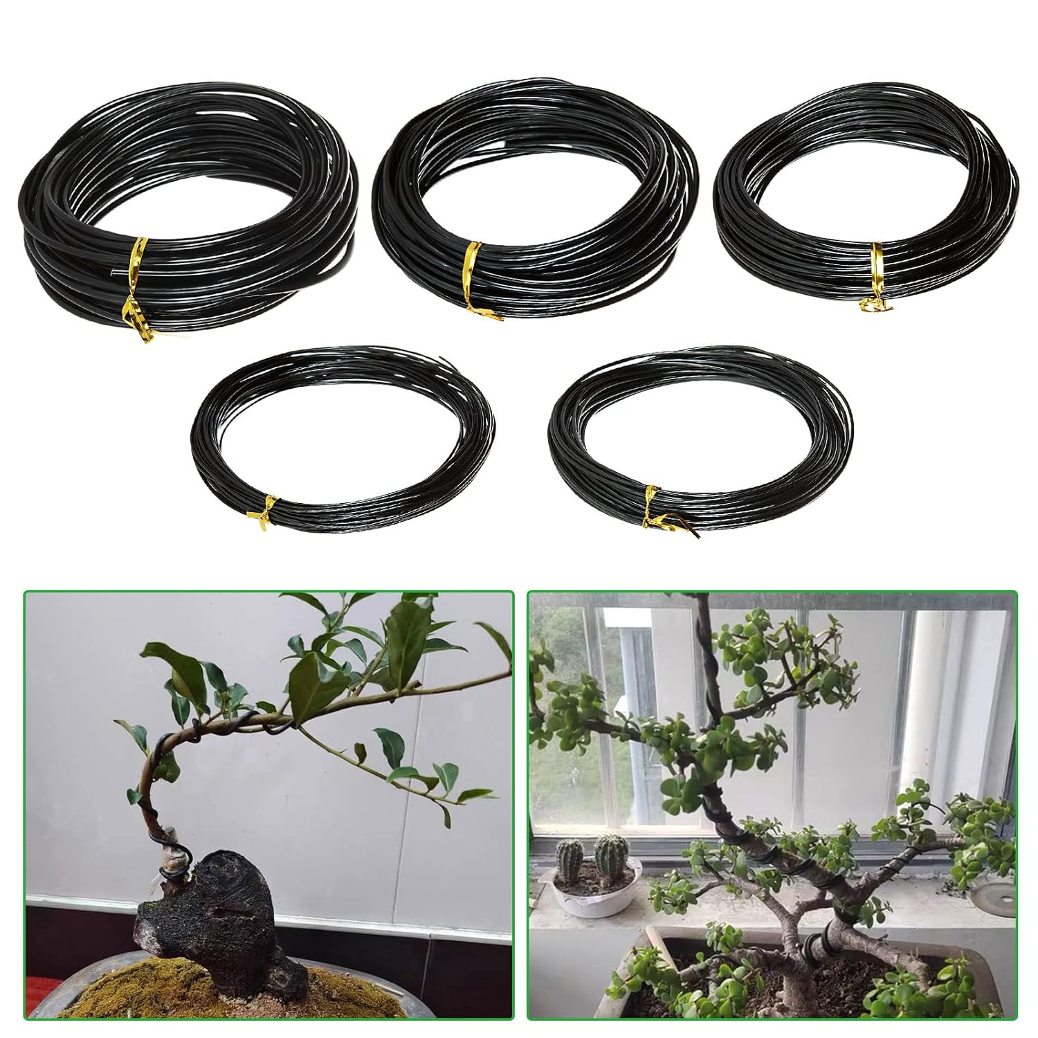 盆栽用ワイヤー 植物支柱 陽極酸化アルミニウム製 盆栽トレー - Bonsai Wire Aluminum のレビューと価格