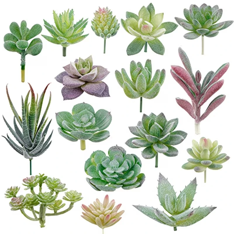 10/20 個 PVC 多肉植物グリーンフェイク多肉植物家庭 - Bonsai Garden Ideas のレビューと価格
